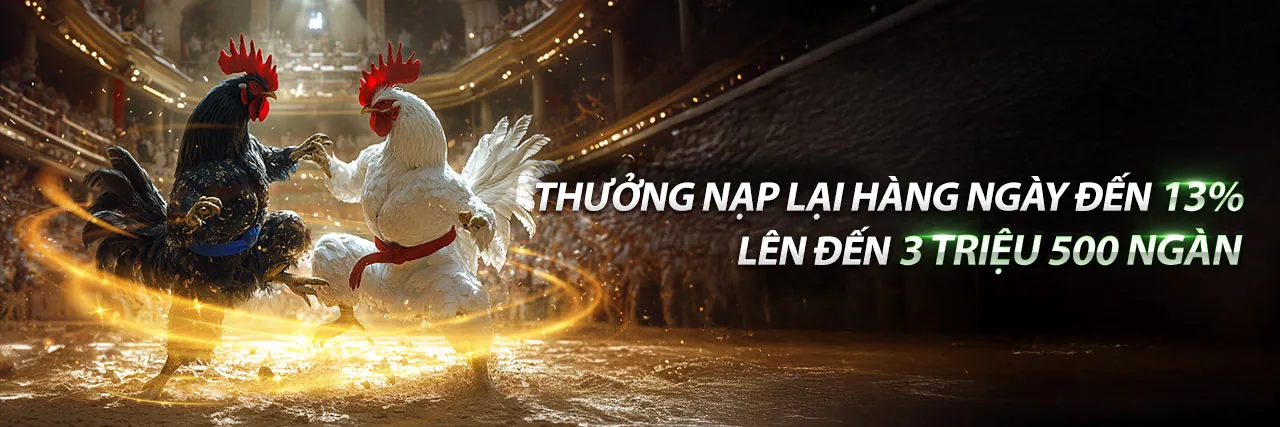 Đá gà trực tuyến tại Benvip - Trận đấu kịch tính