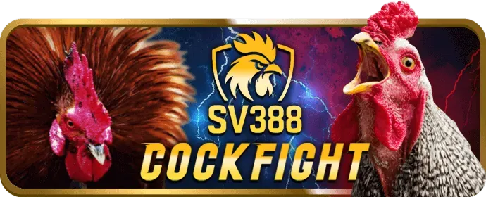 Phân tích chiến thuật bóng đá cùng benvip game